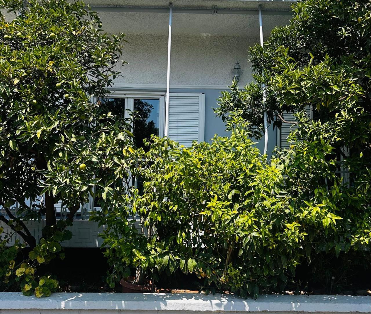 Ferienwohnung Sotiris Mandarin House Diakopto Exterior foto